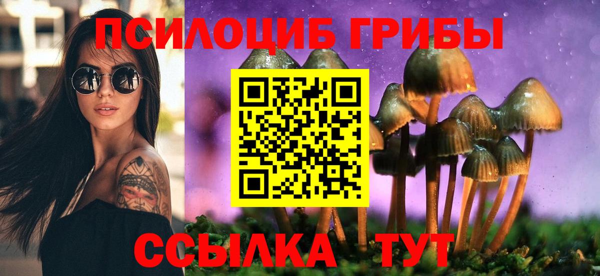 как найти закладки  Галлюциногенные грибы прущие грибы  Вход с VPN  Подольск 